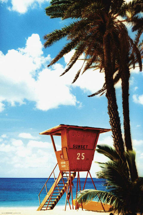 Life Guard Hut