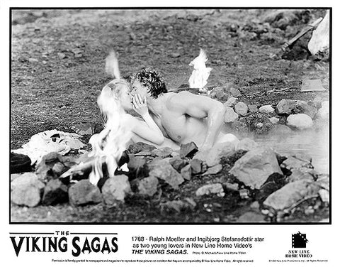 Viking Sagas