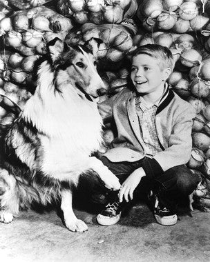 Lassie