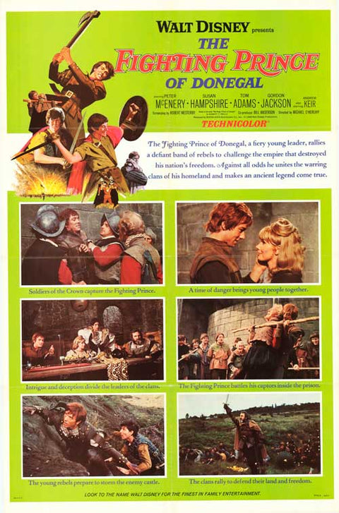 Fighting Prince Of Donegal