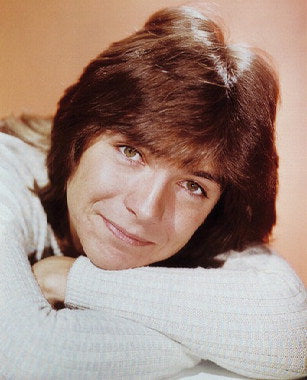 Partridge Family
