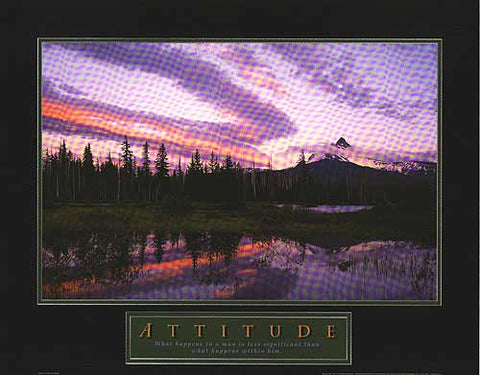 Attitude