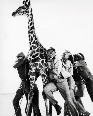 Hatari!
