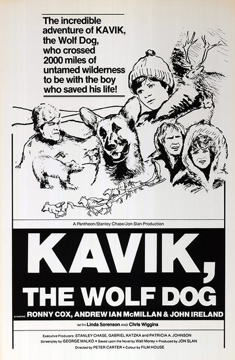 Kavik, The Wolf Dog