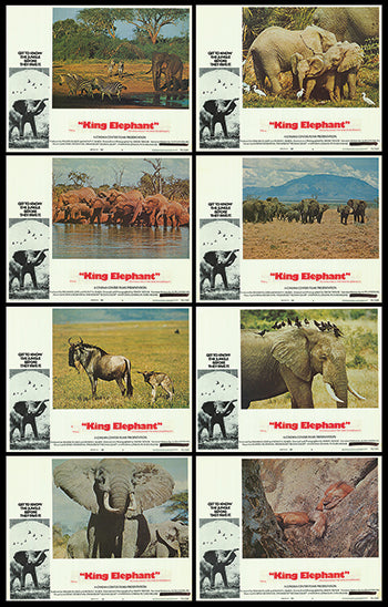 King Elephant