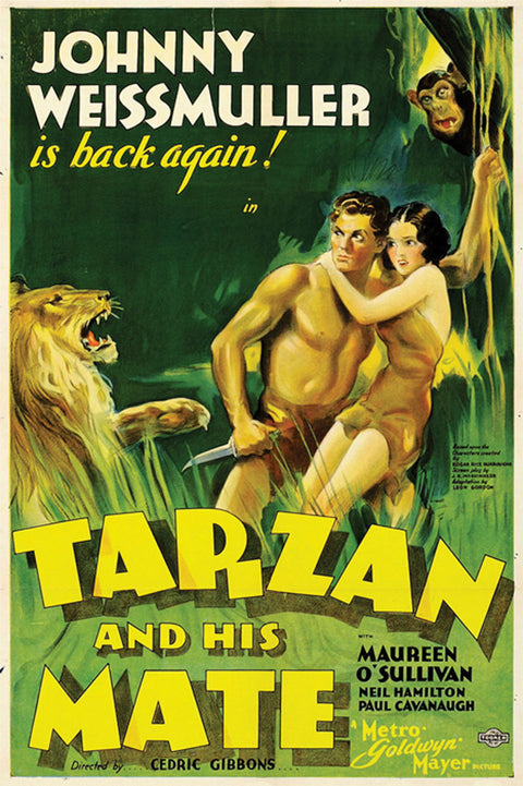 Tarzan And His Mate