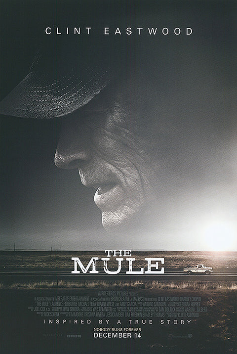 Mule