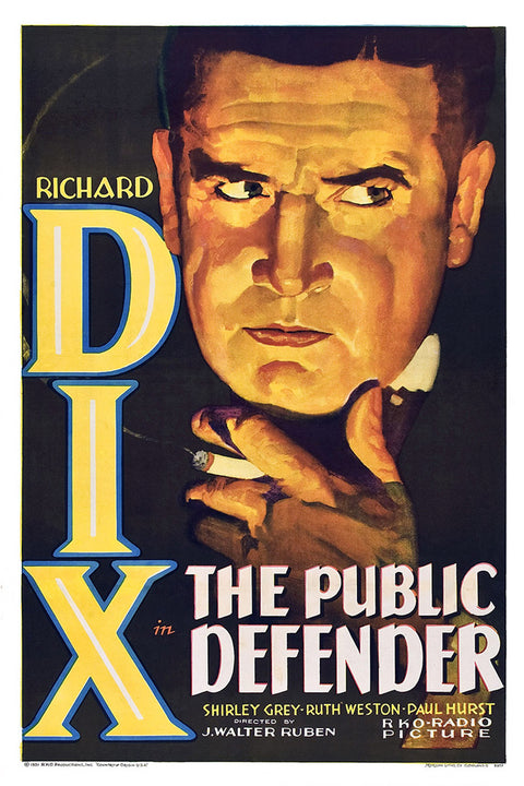 Public Defender