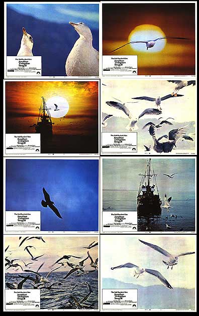 Jonathan Livingston Seagull Posters - Buy Jonathan Livingston