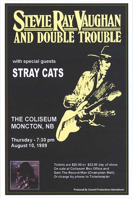Stevie Ray Vaughan and Double Trouble Posters - Buy Stevie Ray