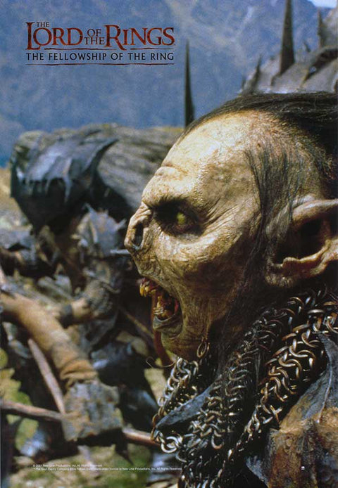 Lord of the Rings: The Fellowship of the Ring