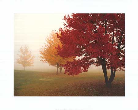 Escape Trees