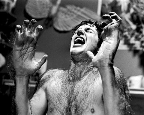 American Werewolf in London