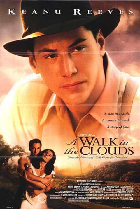 Walk In The Clouds