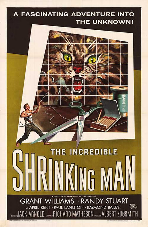 Incredible Shrinking Man