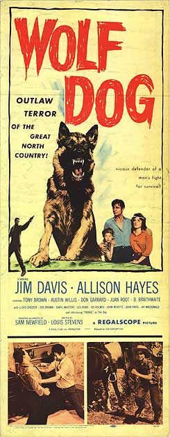 Wolf Dog