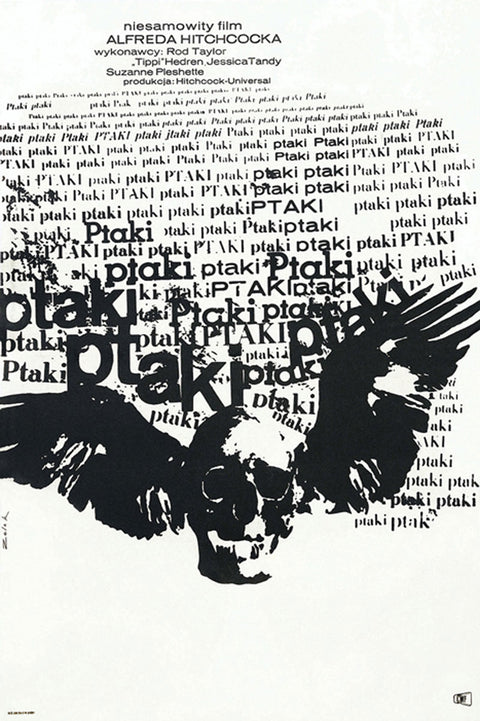 Birds