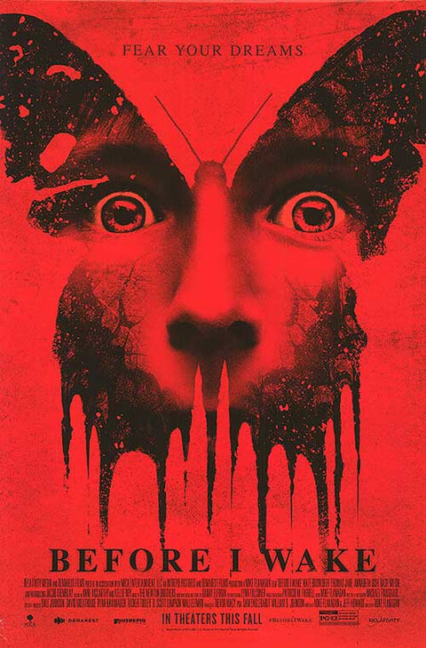 Before I Wake