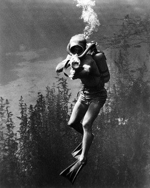 Revenge of the Creature