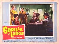 Gorilla At Large