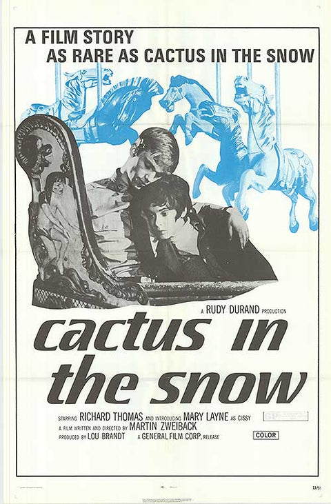 Cactus in the Snow