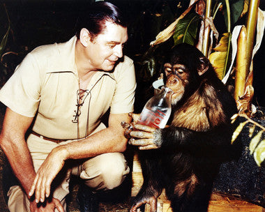 Jungle Jim