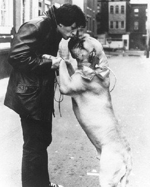 Sylvester Stallone