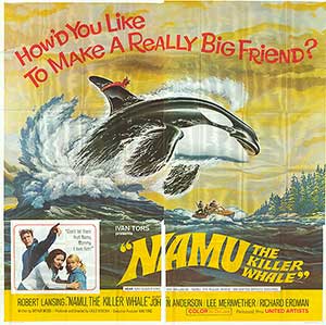 Namu The Killer Whale