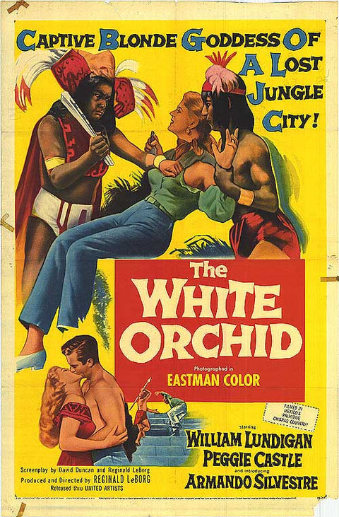 White Orchid