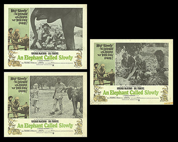 Elephant Called Slowly