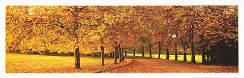 Autumn Leaves