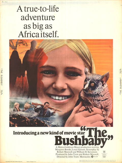 Bushbaby