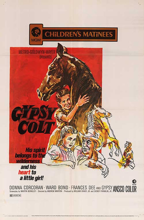 Gypsy Colt