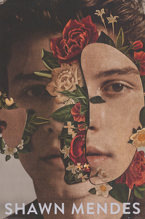 Shawn Mendes
