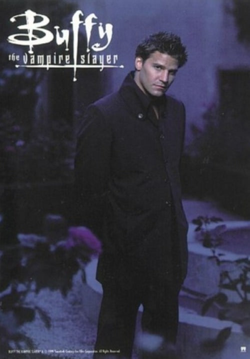 Buffy The Vampire Slayer