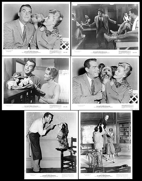 Absent Minded Professor