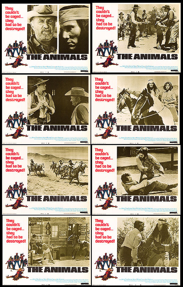 Animals