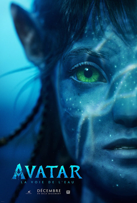 Avatar: The Way of Water (French)