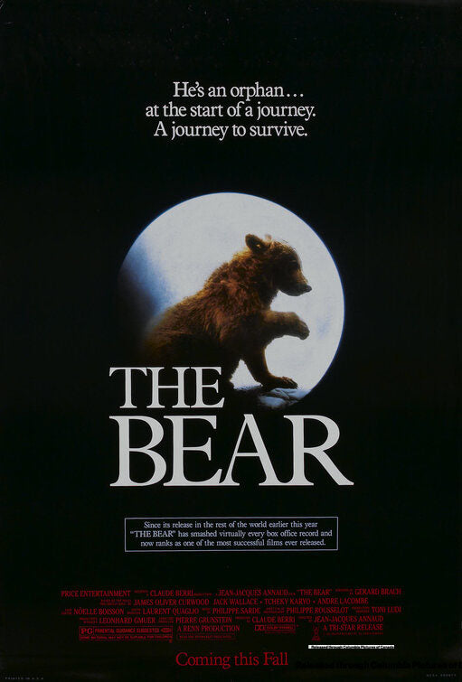 Bear