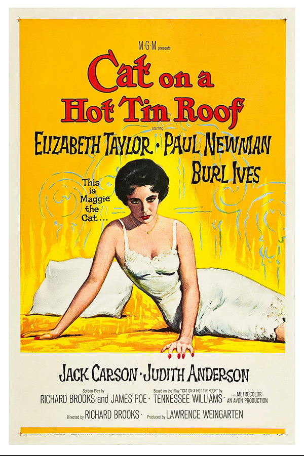 Cat on a Hot Tin Roof