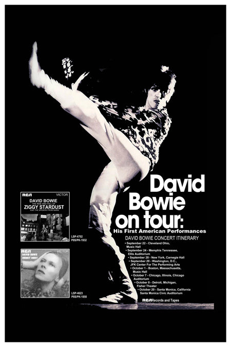 David Bowie