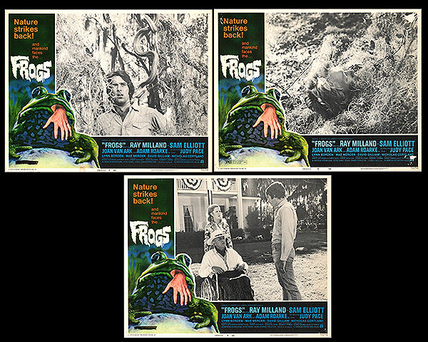 Adam Rourke Frogs Frogs
