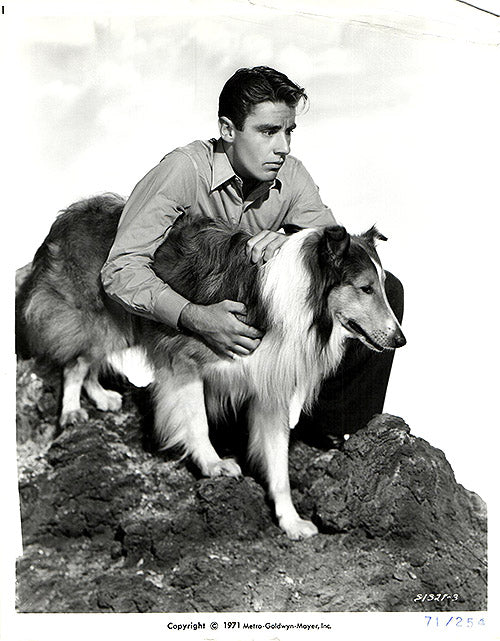 Son of Lassie