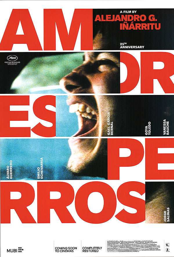 Amores Perros