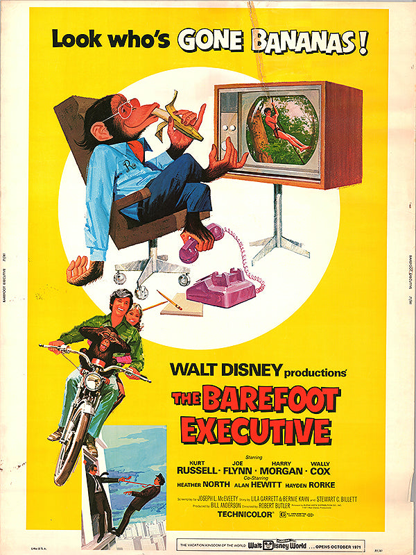 Barefoot Executive