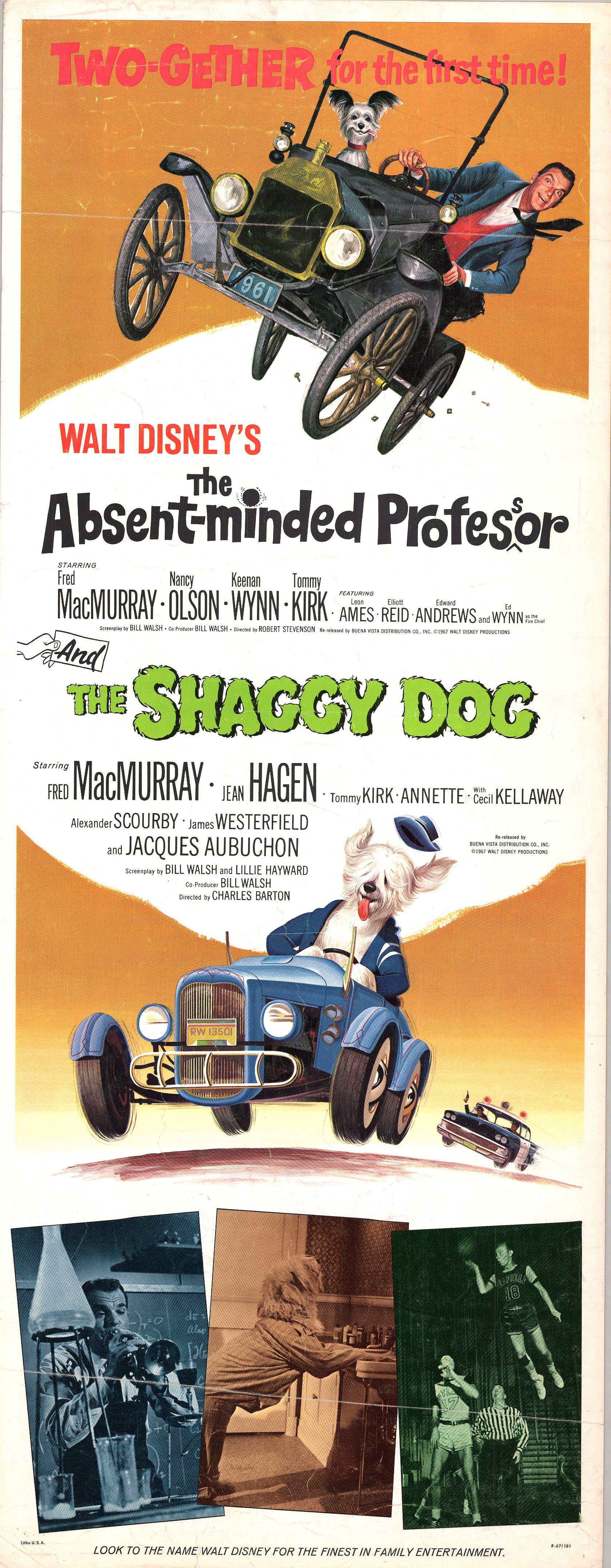 Absent Minded Professor and Shaggy Dog