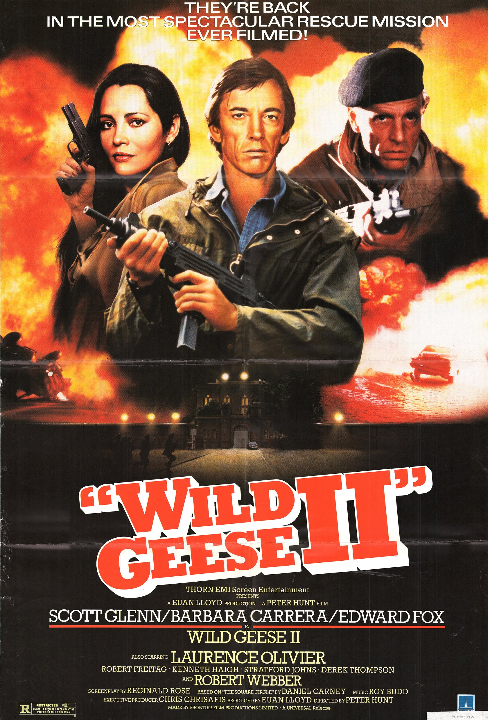 Wild Geese II