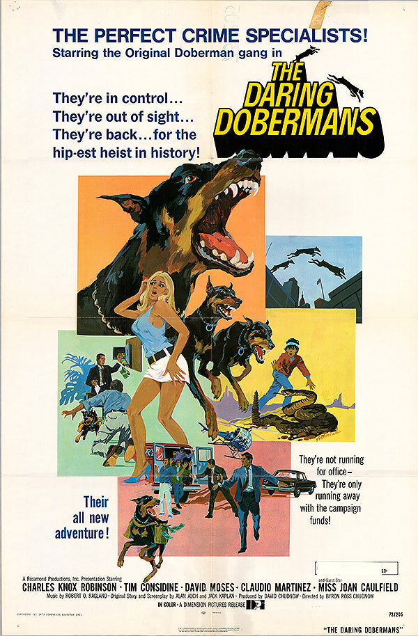 Daring Dobermans