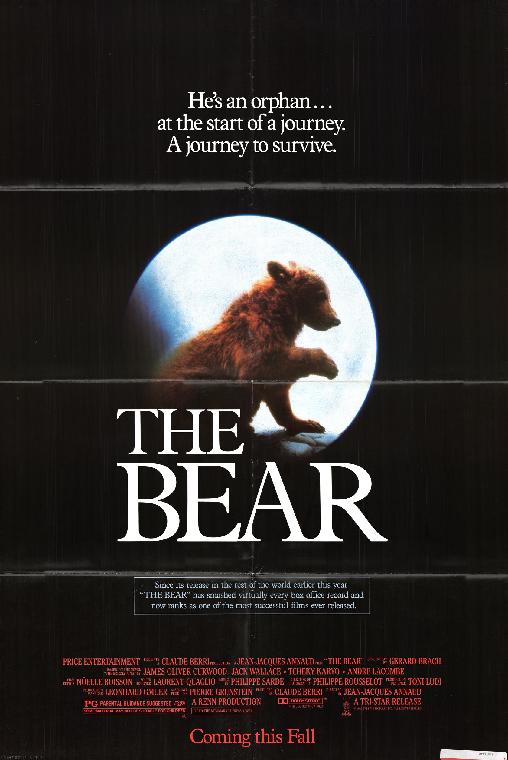 Bear
