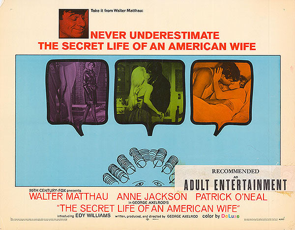 Secret Life Of An American Wife